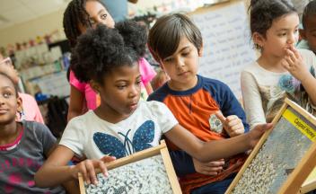 Diverse group of kids learning about bees and honey in elementary classroom